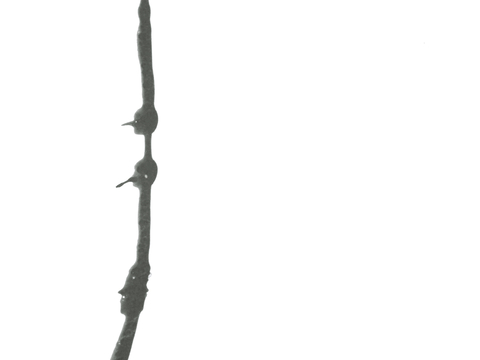  飞溅墨迹 水迹 泼墨 污迹 污渍 墨水涂鸦 抽象艺术画 