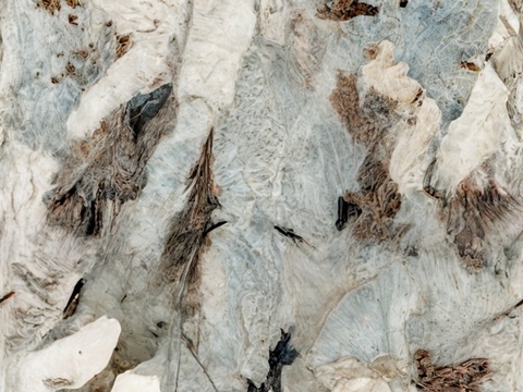 潘多拉奢石大理石岩板贴图