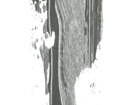  飞溅墨迹 水迹 泼墨 污迹 污渍 墨水涂鸦 抽象艺术画 