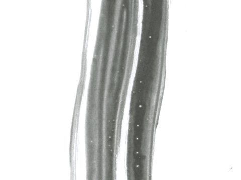  飞溅墨迹 水迹 泼墨 污迹 污渍 墨水涂鸦 抽象艺术画 