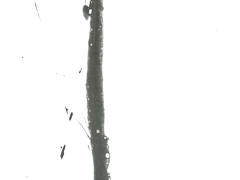  飞溅墨迹 水迹 污迹 污渍 墨水涂鸦 抽象艺术画 