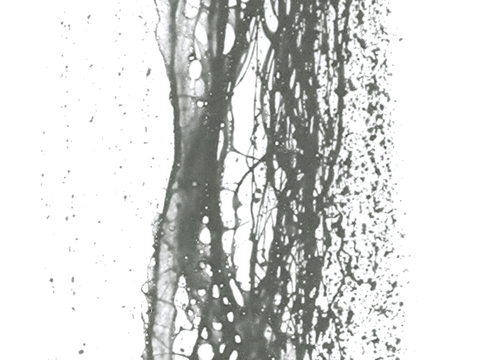  飞溅墨迹 水迹 泼墨 污迹 污渍 墨水涂鸦 抽象艺术画 