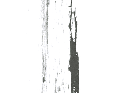  飞溅墨迹 水迹 泼墨 污迹 污渍 墨水涂鸦 抽象艺术画 