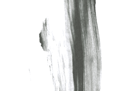  飞溅墨迹 水迹 泼墨 污迹 污渍 墨水涂鸦 抽象艺术画 