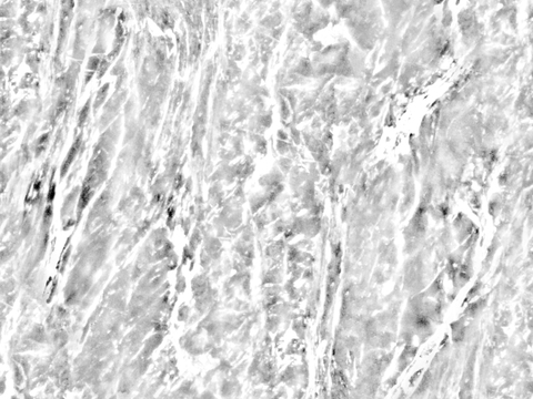 黑白贴图 黑白凹凸 黑白遮罩