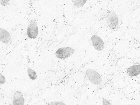 黑白贴图 黑白凹凸 黑白遮罩