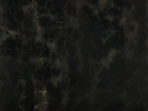  皮革 皮纹 细纹皮革 花纹皮革 粗纹皮革 皮草 软包硬包皮革 