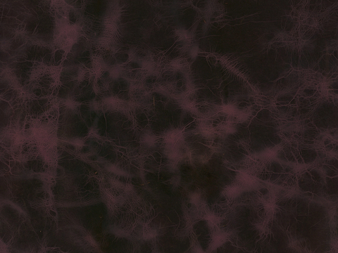  皮革 皮纹 细纹皮革 花纹皮革 粗纹皮革 皮草 软包硬包皮革 