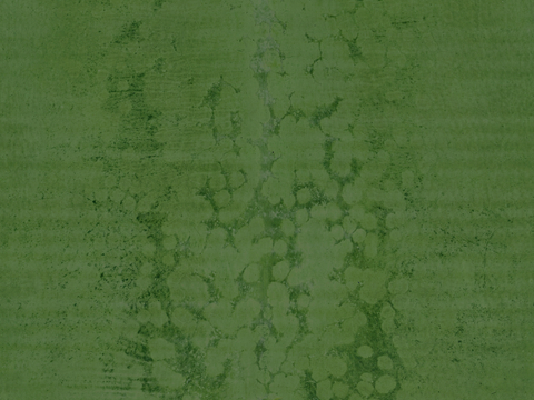  皮革 皮纹 细纹皮革 花纹皮革 粗纹皮革 皮草 软包硬包皮革 