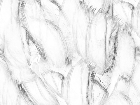 黑白贴图 黑白凹凸 黑白遮罩