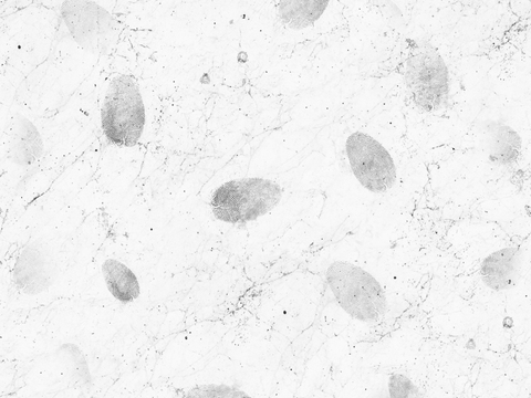 黑白贴图 黑白凹凸 黑白遮罩