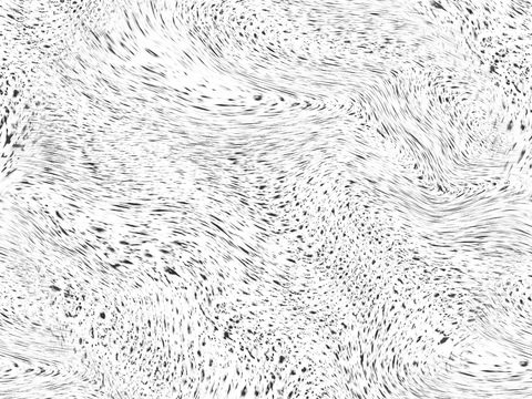 黑白贴图 黑白凹凸 黑白遮罩