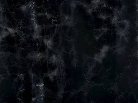  皮革 皮纹 细纹皮革 花纹皮革 粗纹皮革 皮草 软包硬包皮革 