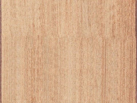 酒店地毯居家地毯 简约地毯 毛毯 块毯