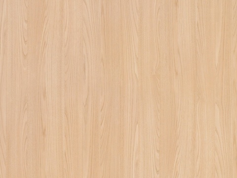 浅色木纹木饰面贴图