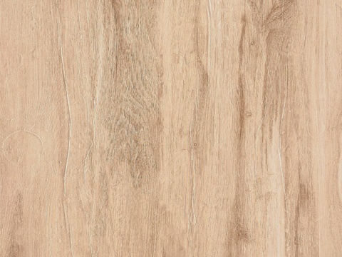 橡木 老木 旧木