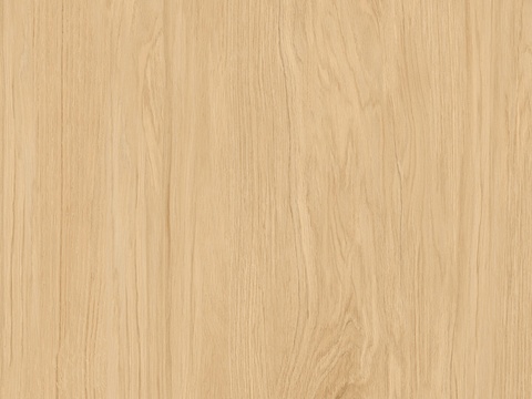 南美枫木木纹贴图