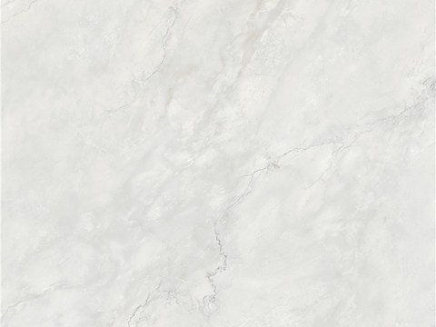 蒙娜丽莎现代简约轻奢地面墙面瓷砖