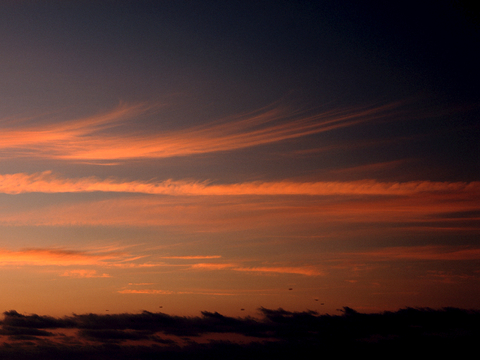 外景 天空 云层 云朵 自然风景 庭院外景 窗外 环境贴图