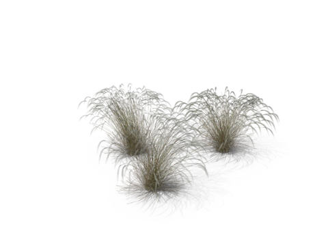 现代花草植物PNG免抠