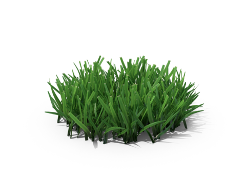 现代花草植物PNG免抠