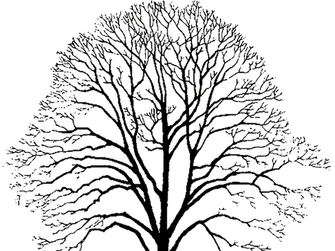  黑白凹凸 高光遮罩 通道 花纹纹理 装饰线条 纹理 墙绘图案 