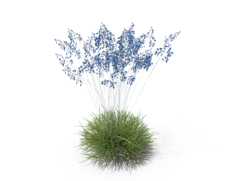 现代花草植物PNG免抠