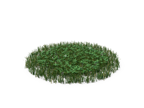 现代花草植物PNG免抠