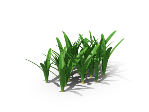 现代花草植物PNG免抠