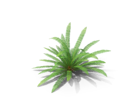 现代花草植物PNG免抠