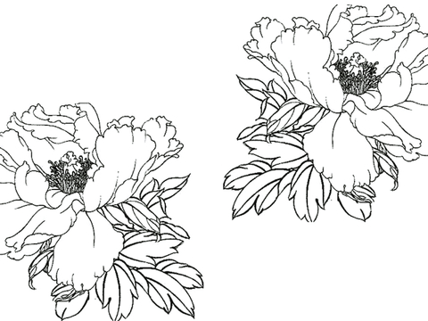  黑白凹凸 高光遮罩 通道 花纹纹理 装饰线条 纹理 墙绘图案 