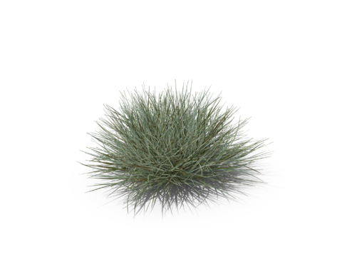 现代花草植物PNG免抠