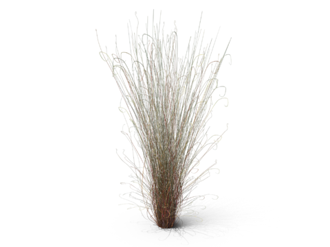 现代花草植物PNG免抠