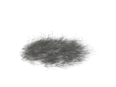 现代花草植物PNG免抠