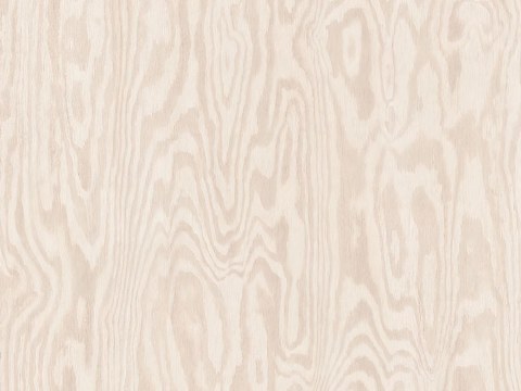 无缝浅色木饰面