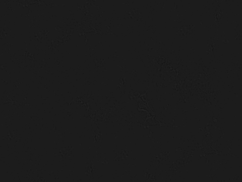  黑白凹凸 高光遮罩 通道 纹理 装饰花纹线条 墙地面凹凸铺贴 