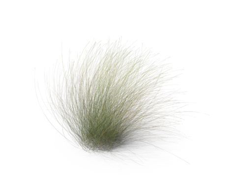 现代花草植物PNG免抠