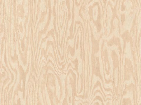 无缝浅色木饰面