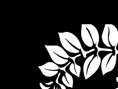  黑白凹凸 高光遮罩 通道 花纹纹理 装饰线条 纹理 墙绘图案 