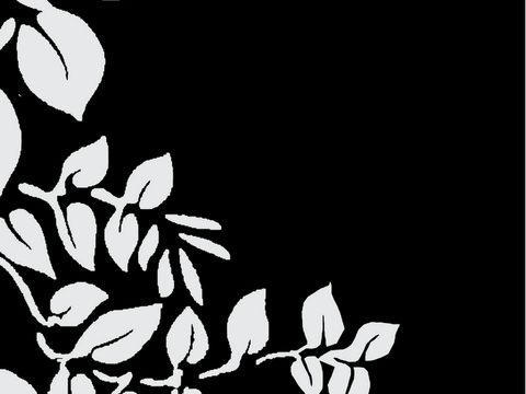  黑白凹凸 高光遮罩 通道 花纹纹理 装饰线条 纹理 墙绘图案 