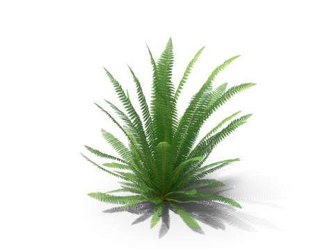 现代花草植物PNG免抠