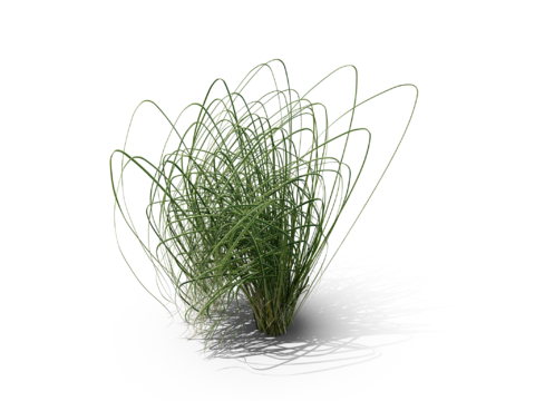 现代花草植物PNG免抠