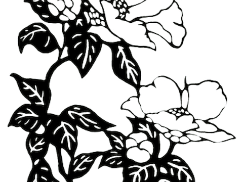 黑白凹凸 高光遮罩 通道 花纹纹理 装饰线条 纹理 墙绘图案