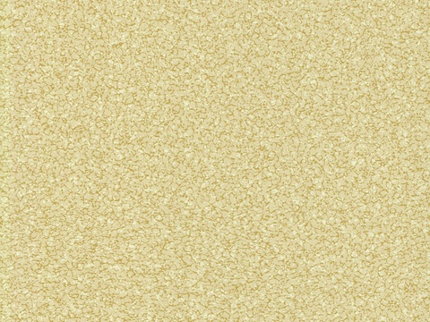 浅黄色橡胶塑胶PVC地胶板