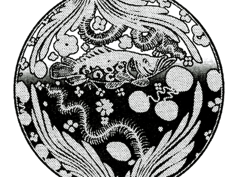  黑白凹凸 高光遮罩 通道 花纹纹理 装饰线条 纹理 墙绘图案 