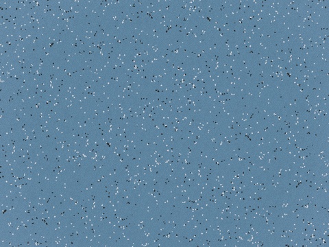 深蓝色橡胶塑胶PVC地胶板