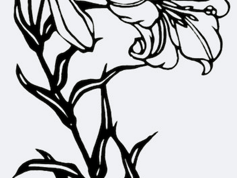 黑白凹凸 高光遮罩 通道 花纹纹理 装饰线条 纹理 墙绘图案