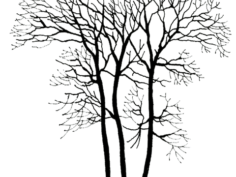  黑白凹凸 高光遮罩 通道 花纹纹理 装饰线条 纹理 墙绘图案 