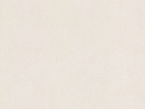 金意陶米白色微水泥贴图