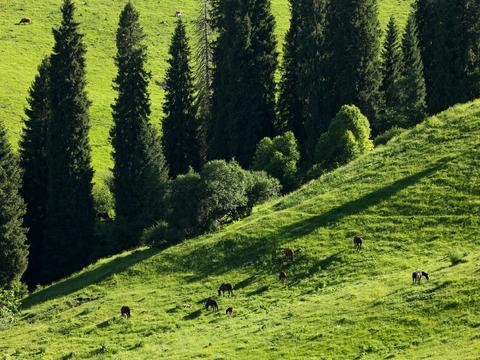 野外风景